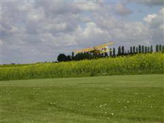 PICT1833.JPG